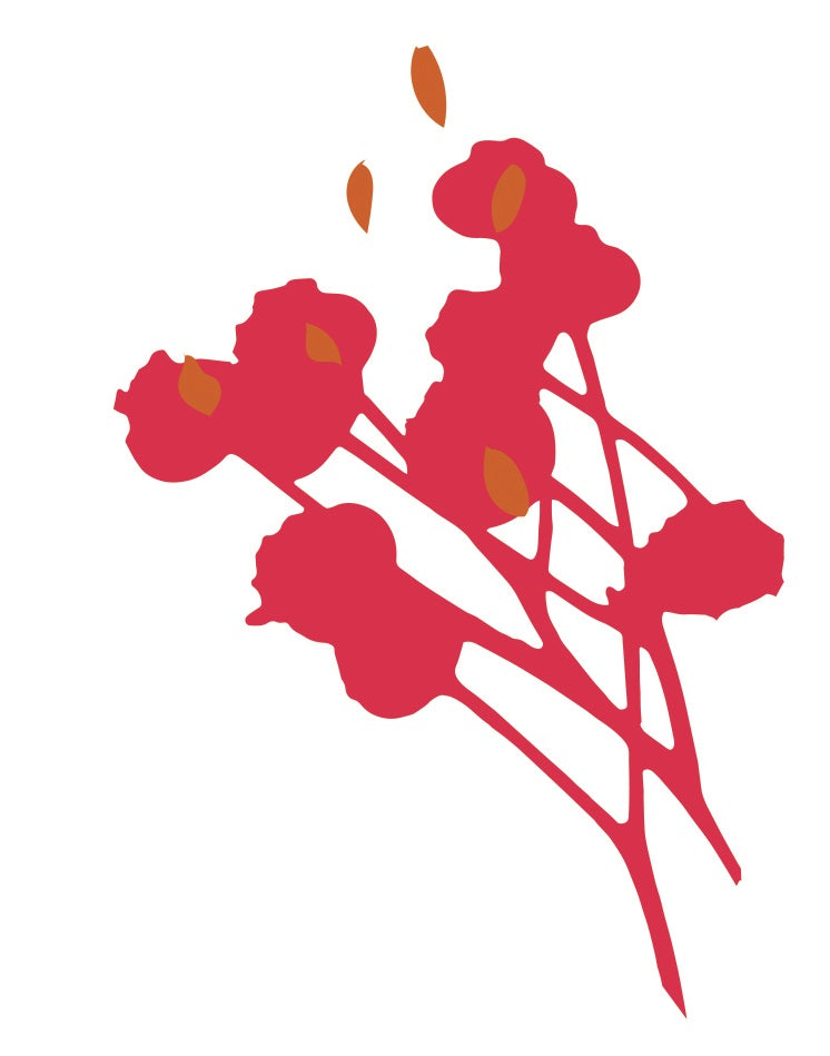 Kosmea Rose Hip Oil Skin Care and Beauty